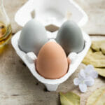 Goat Milk Egg Soap MAN PACKAGE