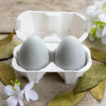 Goat Milk Egg Soap AFTER THE LOVIN